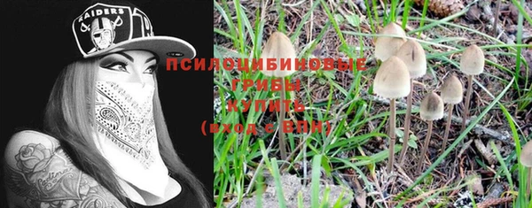 кристаллы Козловка
