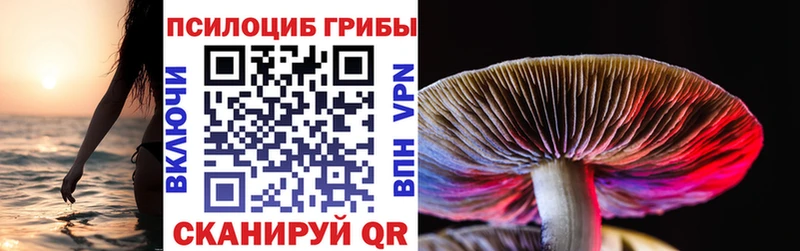 Псилоцибиновые грибы Cubensis  Княгинино 