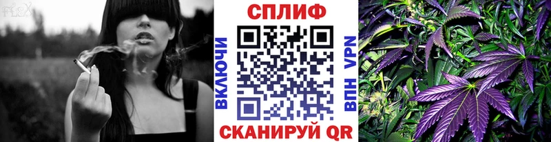 Шишки марихуана семена  Княгинино 
